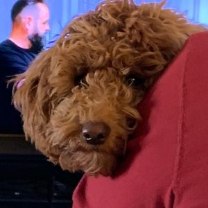 Meet your Posher, Tina